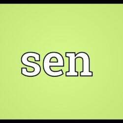 Sen meaning